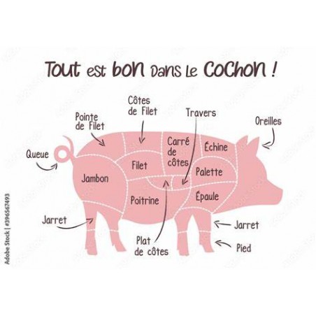 Côtes dans l'échine environ 600 g