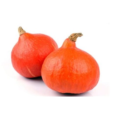 Potimarron