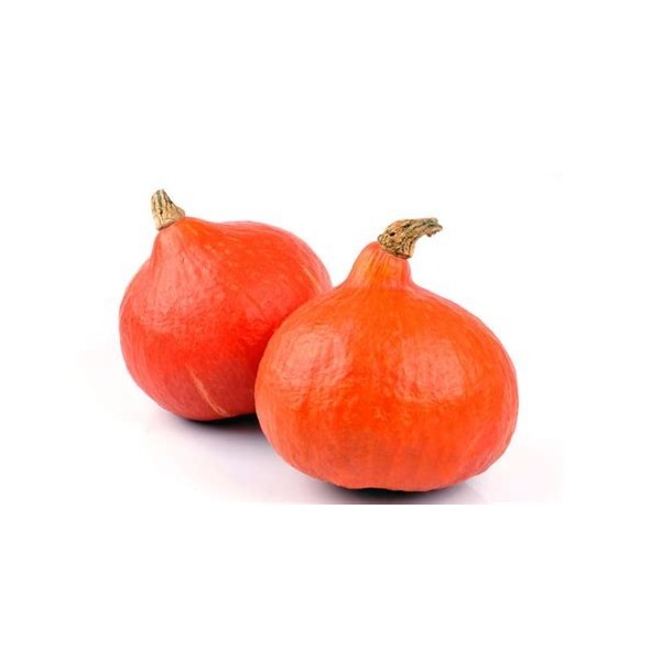 Potimarron