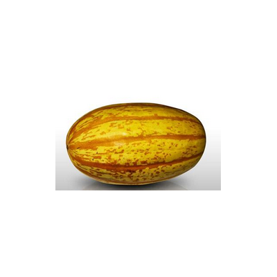 Courge spaghetti