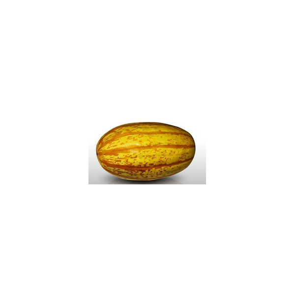 Courge spaghetti
